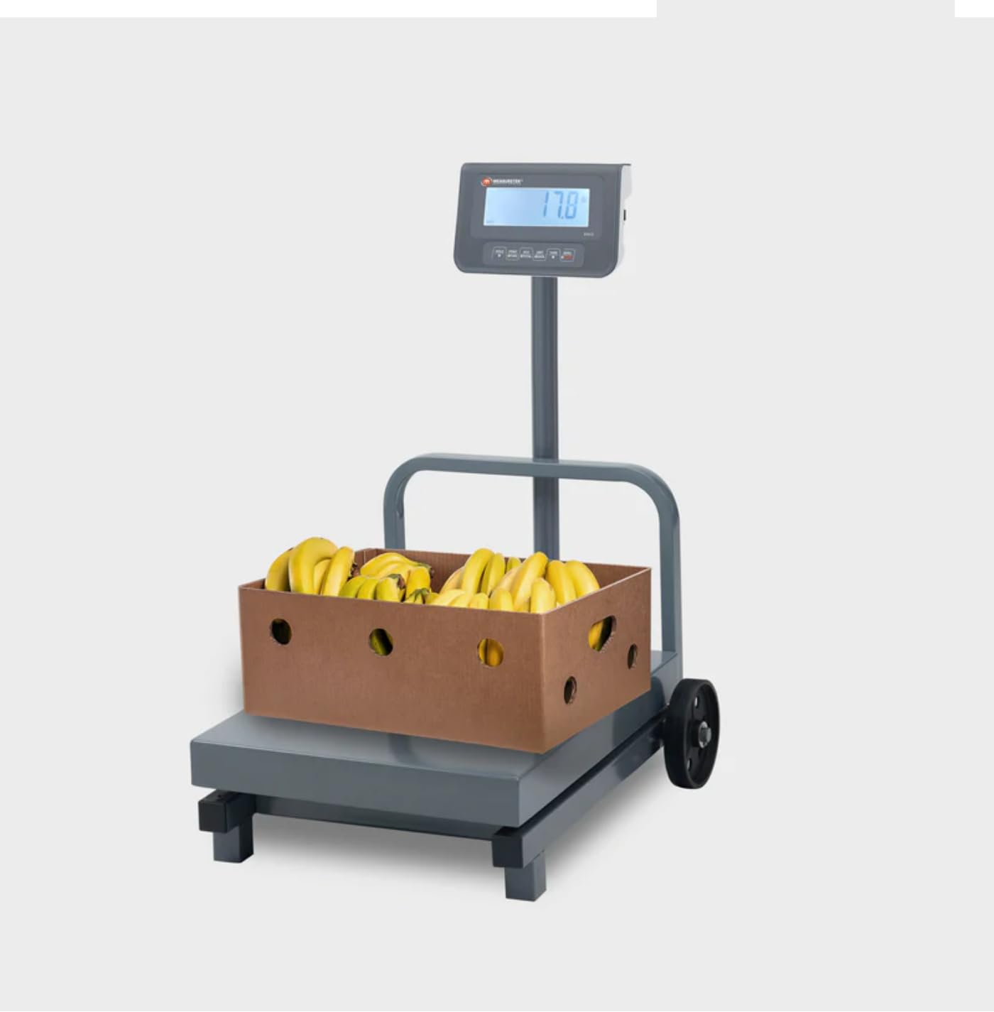 MEASURETEK industrial and commercial digital scales